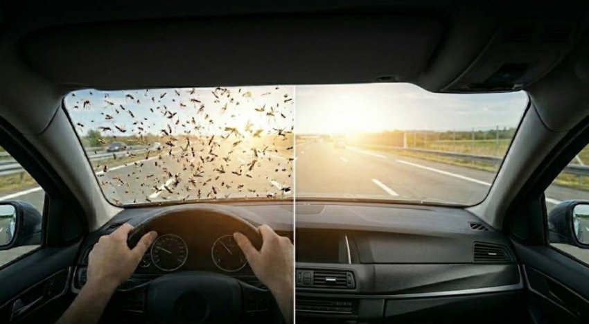 Vue POV conducteur avec moustique sur un pare-brise